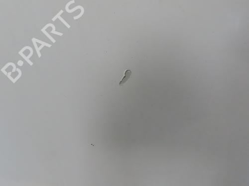 Hood MERCEDES-BENZ VITO / MIXTO Van (W639) 109 CDI (639.601, 639.603, 639.605) | BP29963601C1 