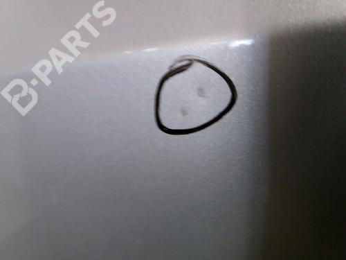 Left front door FIAT QUBO (225_) 1.3 D Multijet (225CXB1A, 225AXB1A, 225CXB11, 225AXB11,... | BP9388619C2 