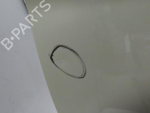 Used Right front door FORD KA (RU8) 1.3 TDCi (75 hp) 29046009