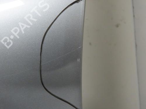 Left front door BMW 3 (E90) 320 d | BP25796363C2 