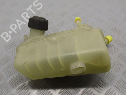 Expansion tank RENAULT MEGANE II (BM0/1_, CM0/1_) 1.9 dCi | BP17776878C120 
