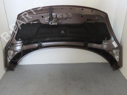 Hood RENAULT SCÉNIC III (JZ0/1_) 1.9 dCi (JZ0J, JZ1J, JZ1K, JZ1S) | BP18076681C1