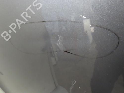 Used Hood Hood RENAULT LAGUNA III (BT0/1) 2.0 16V (BT05, BT0F, BT0W) (140 hp) 18124466 18124466