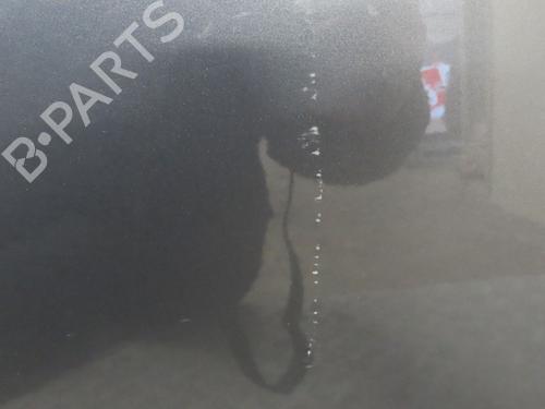 Left front door CITROËN C3 II (SC_) 1.4 VTi 95 | BP25278682C2 