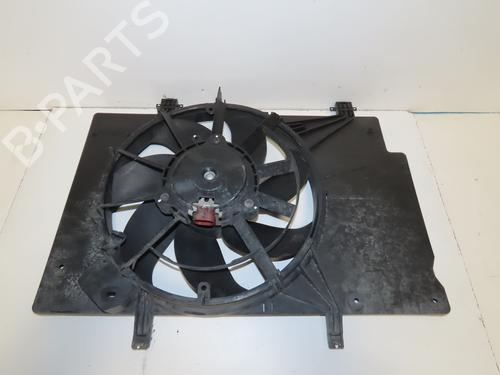 Elettroventola radiatore Elettroventola radiatore FORD FIESTA VI (CB1, CCN) 1.25 (82 hp) 33859878 33859878