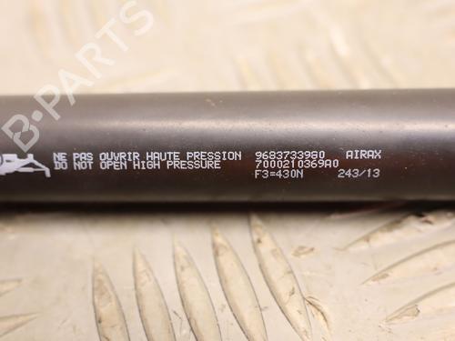 tailgate-lift-support-citroen-c3-ii-sc_-2009-37276585 main image