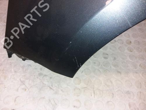 Left front fenders RENAULT CLIO III (BR0/1, CR0/1) 1.2 16V (BR02, BR0J, BR11, CR02, CR0J, CR11) | BP12234938C41