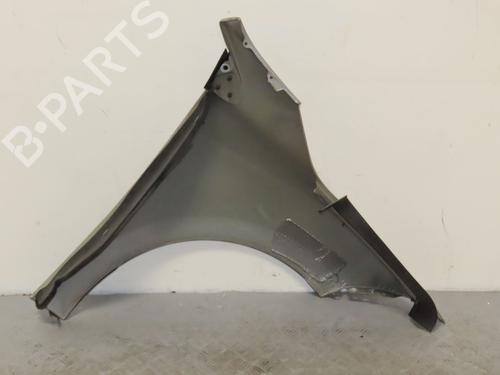 Left front fenders RENAULT MEGANE III Coupe (DZ0/1_) 1.5 dCi (DZ09, DZ0D, DZ1F, DZ1G, DZ14, DZ29) | BP24920142C41 
