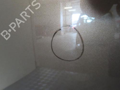 Hood RENAULT SCÉNIC III (JZ0/1_) 1.9 dCi (JZ0J, JZ1J, JZ1K, JZ1S) | BP18076681C1