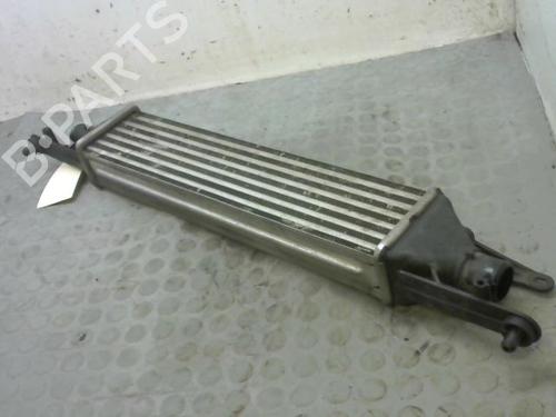 Used Other FIAT PUNTO EVO (199_) 1.3 D Multijet (199AXC1A, 199BXC1A, 199AXT1A, 199BXT1A) (75 hp) 14883382