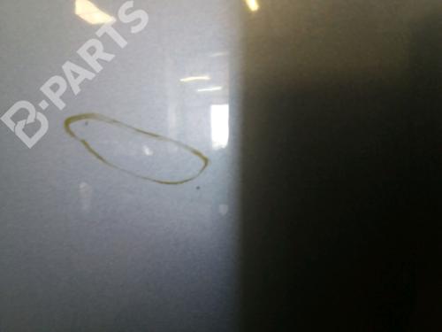 Hood FORD FUSION (JU_) 1.4 TDCi | BP9526099C1 
