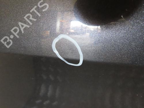 Left front door SEAT ALTEA (5P1) 2.0 TDI 16V | BP19578297C2 