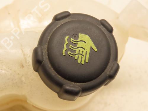 Expansion tank RENAULT KADJAR (HA_, HL_) 1.2 TCe 130 (HLMR) | BP29319271C120 