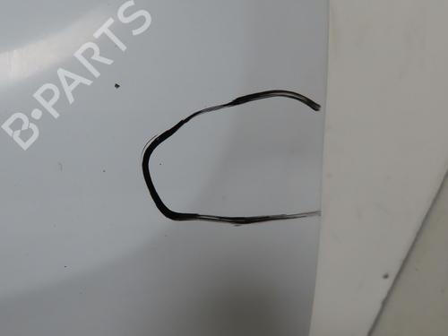 Right front door RENAULT KANGOO Express (FW0/1_) 1.5 dCi 70 (FW0A, KW0V) | BP32376865C3