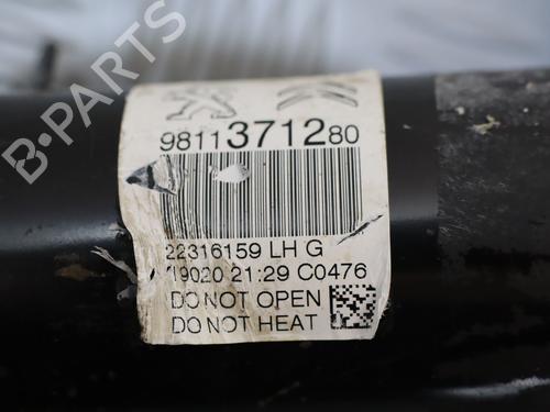 Used Left front shock absorber Left front shock absorber CITROËN C3 III (SX) 1.2 PureTech 82 (83 hp) 34498464 34498464