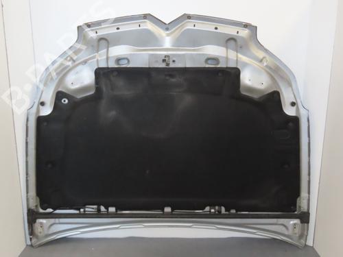 Used Hood CITROËN C5 II (RC_) 2.0 HDi (RCRHRH) (136 hp) 17780640