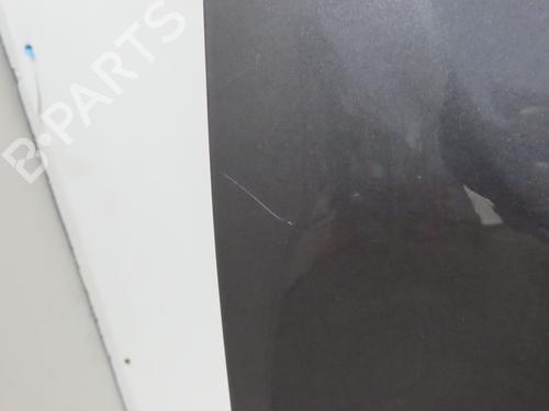 Used Left slide door RENAULT KANGOO / GRAND KANGOO II (KW0/1_) 1.5 dCi 90 (KW05, KW08, KW0G, KW11) (90 hp) 29345817