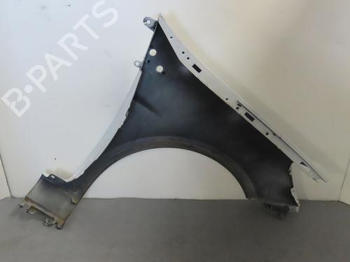 Left front fenders RENAULT CLIO III (BR0/1, CR0/1) 1.2 16V (BR02, BR0J, BR11, CR02, CR0J, CR11) | BP17780573C41 