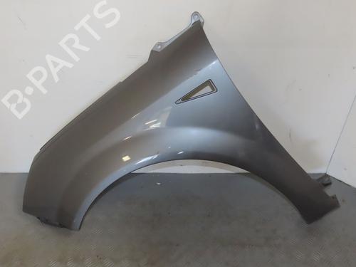 Used Left front fenders RENAULT SCÉNIC II (JM0/1_) 1.5 dCi (JM1E, JM16) (106 hp) 24103357