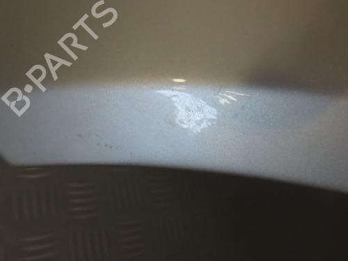 Left front fenders FORD FIESTA V (JH_, JD_) 1.3 | BP19791261C41 