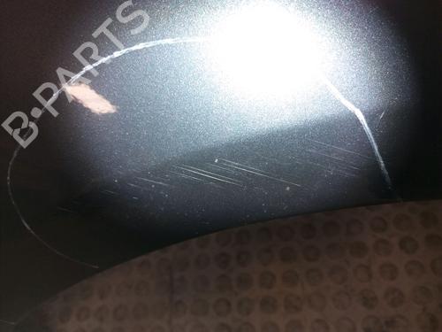 Right front fenders FORD C-MAX (DM2) 1.6 TDCi | BP9828311C42