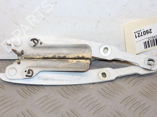 hingedoor-check-strap-dacia-duster-hs_-2010-2011-2012-2013-2014-2015-2016-2017-2018-36758429 main image