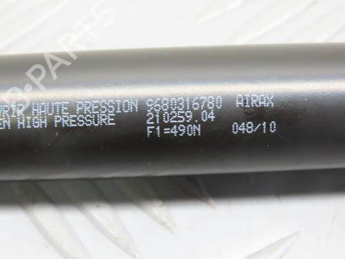 tailgate-lift-support-peugeot-207-sw-wk_-2007-2008-2009-2010-2011-2012-2013-31276531 main image