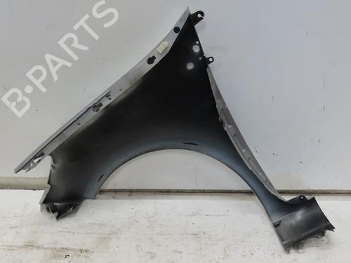 Right front fenders RENAULT CLIO III (BR0/1, CR0/1) 1.5 dCi (BR17, CR17) | BP29016194C42 