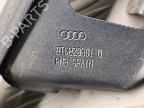 Hinge/Door check strap RENAULT CLIO V (B7_) 1.3 TCe 140 (B7N0) | BP33187720C146 - Image 2