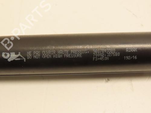 Tailgate lift support PEUGEOT 308 II (LB_, LP_, LW_, LH_, L3_) 1.6 BlueHDi 120 | BP29601332C138 