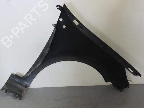 Left front fenders RENAULT CLIO III (BR0/1, CR0/1) 1.5 dCi (BR17, CR17) | BP17780583C41