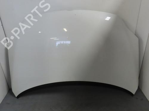 Hood VW GOLF PLUS V (5M1, 521) 1.9 TDI | BP17780615C1