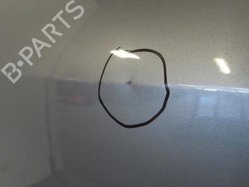 Right front door RENAULT SCÉNIC II (JM0/1_) 1.5 dCi (JM1E, JM16) | BP24103373C3 