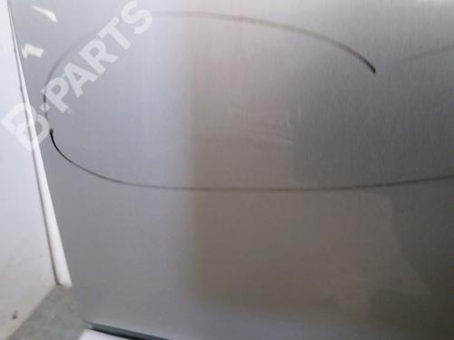 Right front door RENAULT SCÉNIC II (JM0/1_) 1.5 dCi (JM1E, JM16) | BP11996214C3 