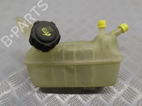 Expansion tank RENAULT MEGANE II (BM0/1_, CM0/1_) 1.9 dCi | BP17776878C120 