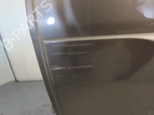Left rear door LANCIA MUSA (350_) 1.3 D Multijet (350.AXG11, 350.AXG1A) | BP17781647C4 