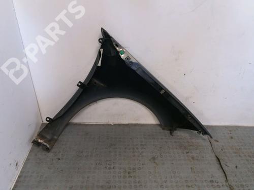 Aleta delantera izquierda RENAULT MEGANE II (BM0/1_, CM0/1_) 1.6 16V (BM0C, CM0C) | BP10102442C41