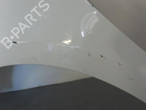Left front fenders RENAULT CLIO III (BR0/1, CR0/1) 1.2 16V (BR02, BR0J, BR11, CR02, CR0J, CR11) | BP17780573C41 