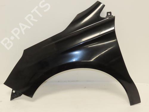 Left front fenders CITROËN C4 II (NC_) 1.6 BlueHDi 100 | BP29045994C41 