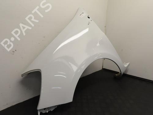 Left front fenders RENAULT CLIO III (BR0/1, CR0/1) 1.5 dCi (C/BR0G, C/BR1G) | BP22381741C41 