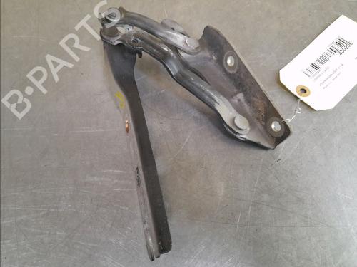 Hinge/Door check strap VW GOLF VI Convertible (517) 1.6 TDI | BP14857350C146