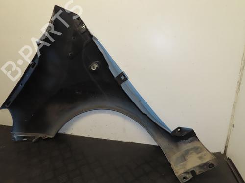 Right front fenders RENAULT TWINGO II (CN0_) 1.5 dCi 90 | BP29516756C42 