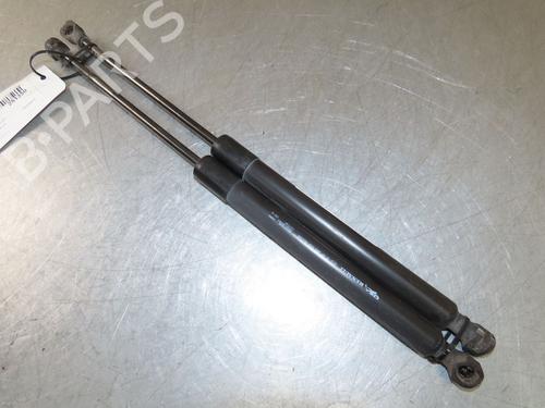 Tailgate lift support RENAULT CLIO III Grandtour (KR0/1_)  | BP29294051C138