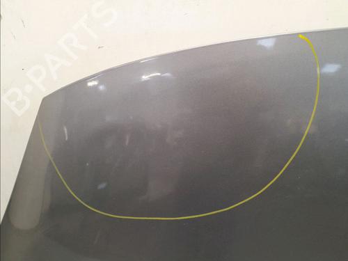 Hood RENAULT SCÉNIC III (JZ0/1_) 1.6 dCi (JZ00, JZ12) | BP16105841C1