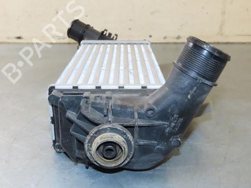 Andere FORD PUMA (J2K, CF7) 1.0 Flexifuel | BP24831572O1 