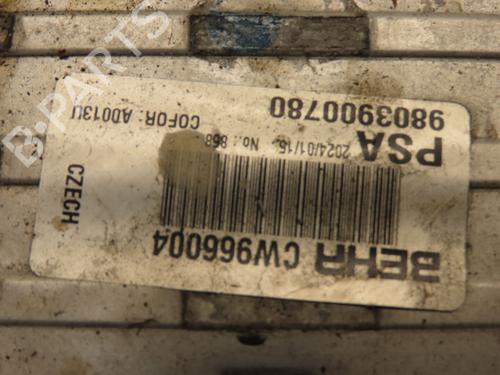 Other CITROËN C3 III (SX) 1.2 THP 110 (SXHNPS, SXHNZT, SXHNZ6) | BP30652439O1