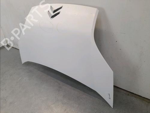 Hood CITROËN NEMO Box Body/MPV (AA_) 1.4 HDi | BP13398973C1