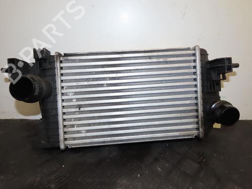 Intercooler OPEL MERIVA B MPV (S10) 1.7 CDTI (75) | BP35887672M30 - Image 6