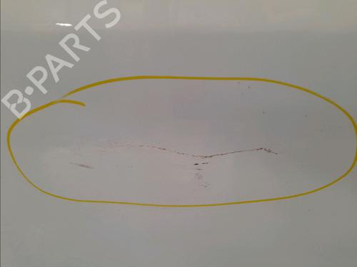 Left front door DACIA SANDERO 1.4 MPI LPG | BP15952935C2