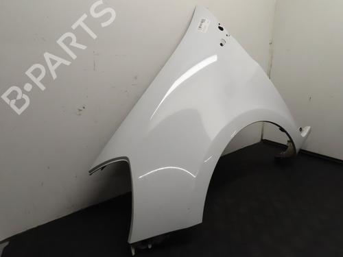 Left front fenders RENAULT CLIO III (BR0/1, CR0/1) 1.5 dCi (C/BR0G, C/BR1G) | BP22366865C41 